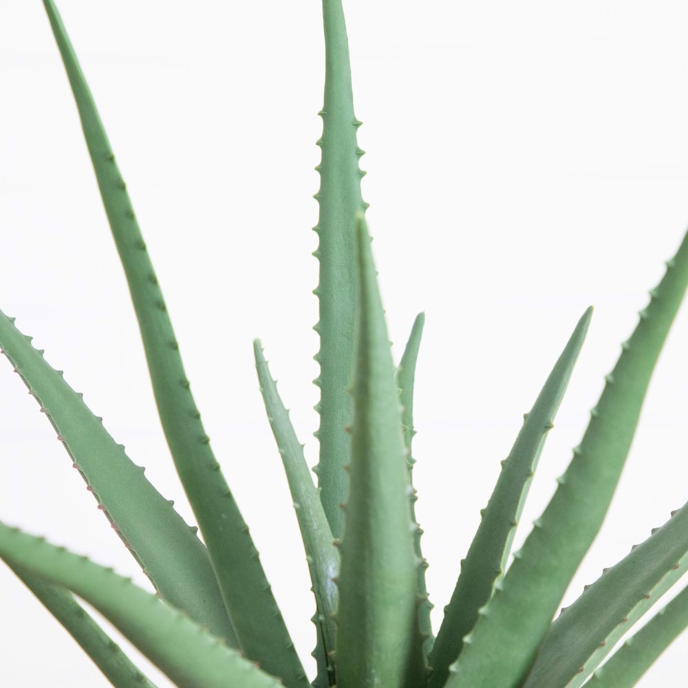 17.5in. Artificial Agave Plant. Picture 4