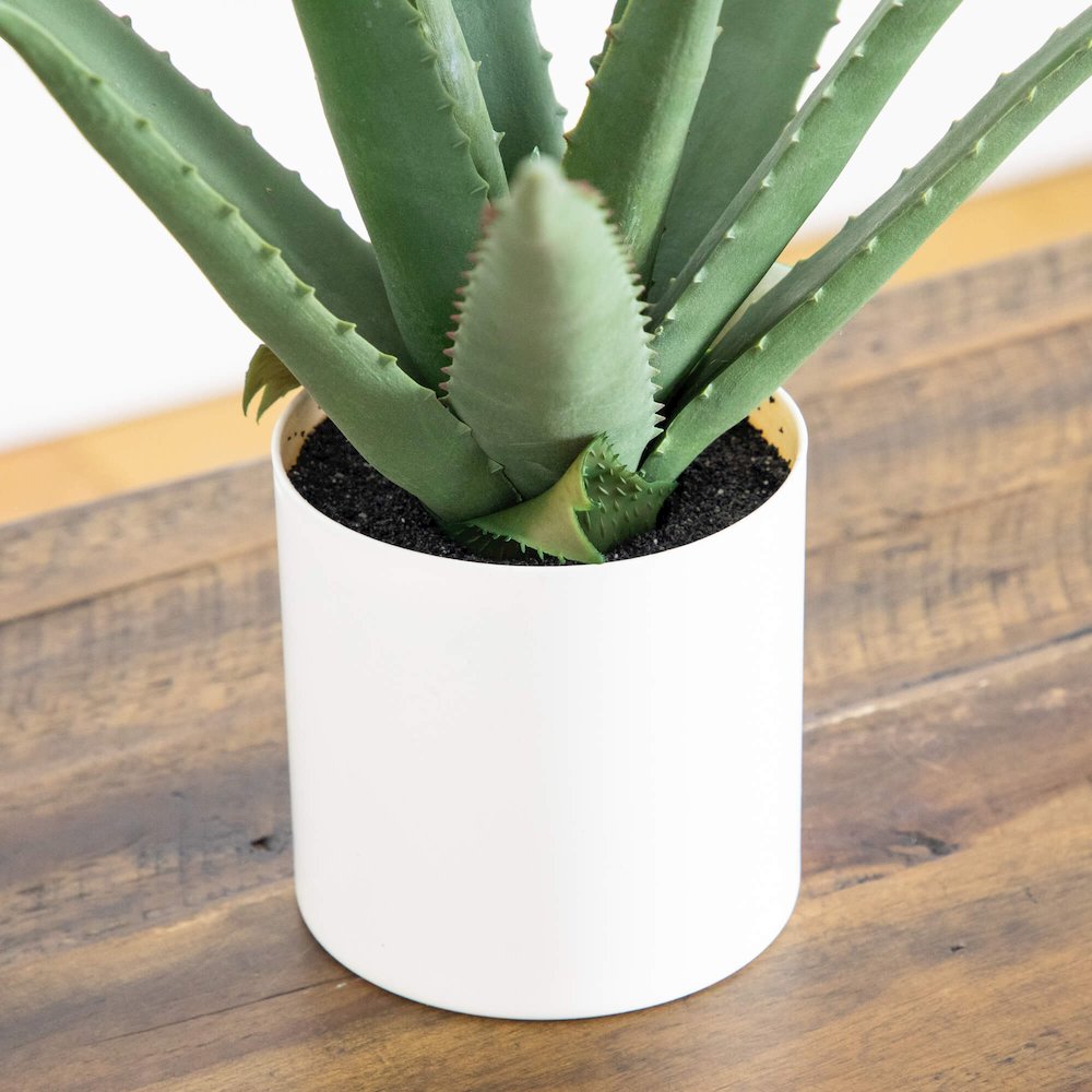 17.5in. Artificial Agave Plant. Picture 5