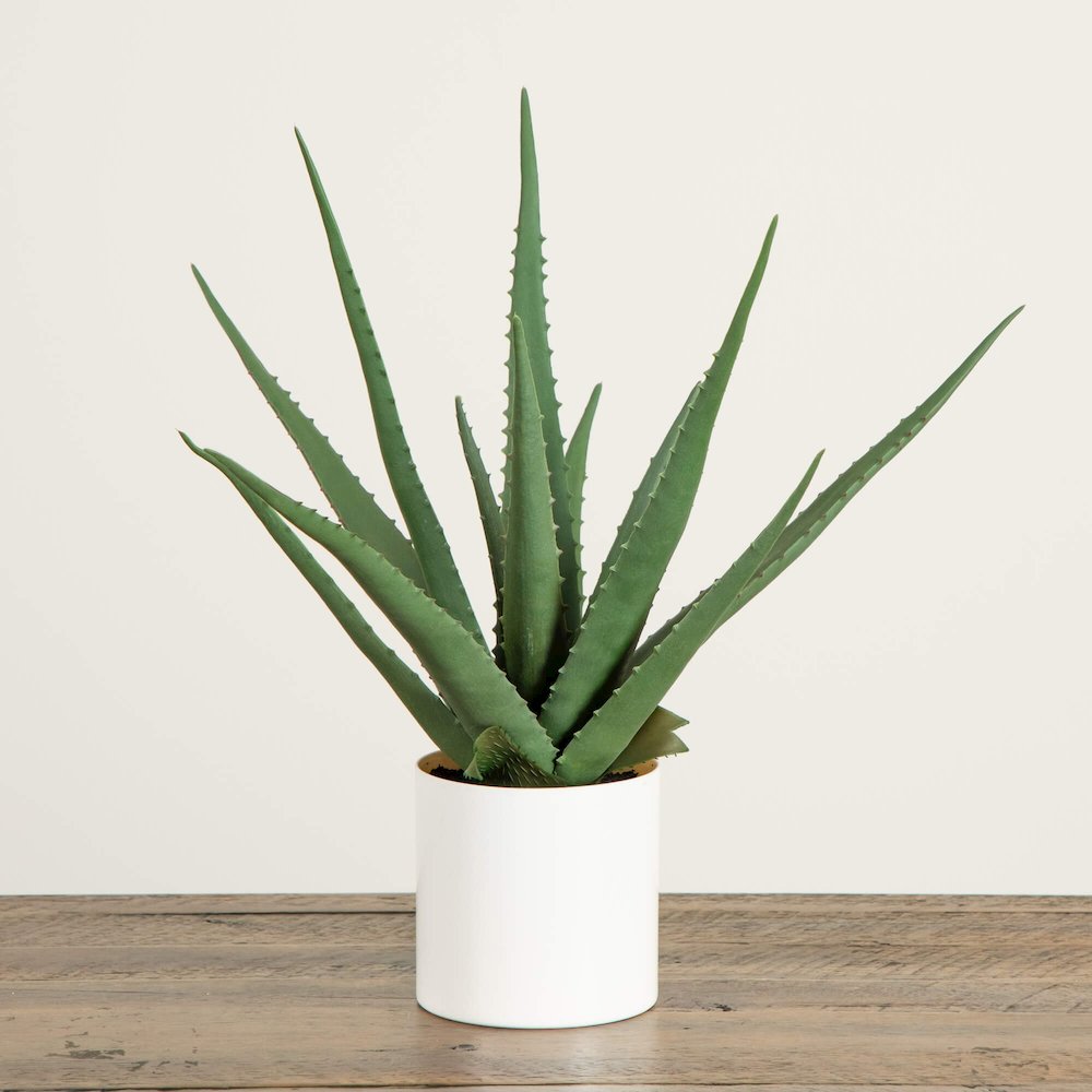 17.5in. Artificial Agave Plant. Picture 6