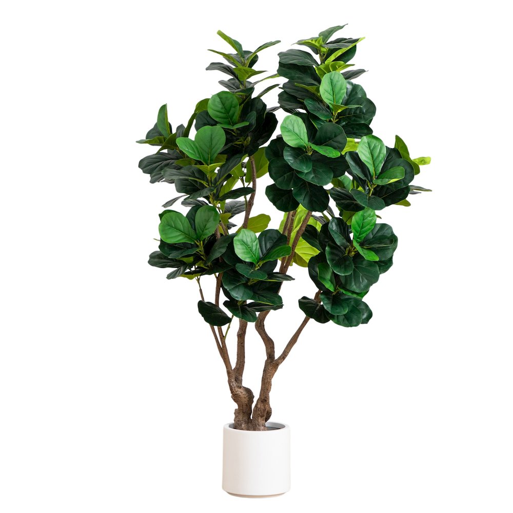 6ft. Artificial Grand Fiddle Leaf Tree in White Decorative Planter. Picture 8