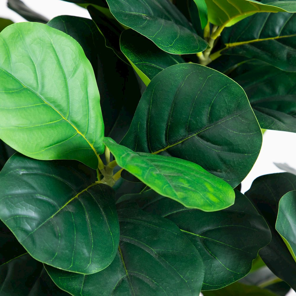6ft. Artificial Grand Fiddle Leaf Tree in White Decorative Planter. Picture 2