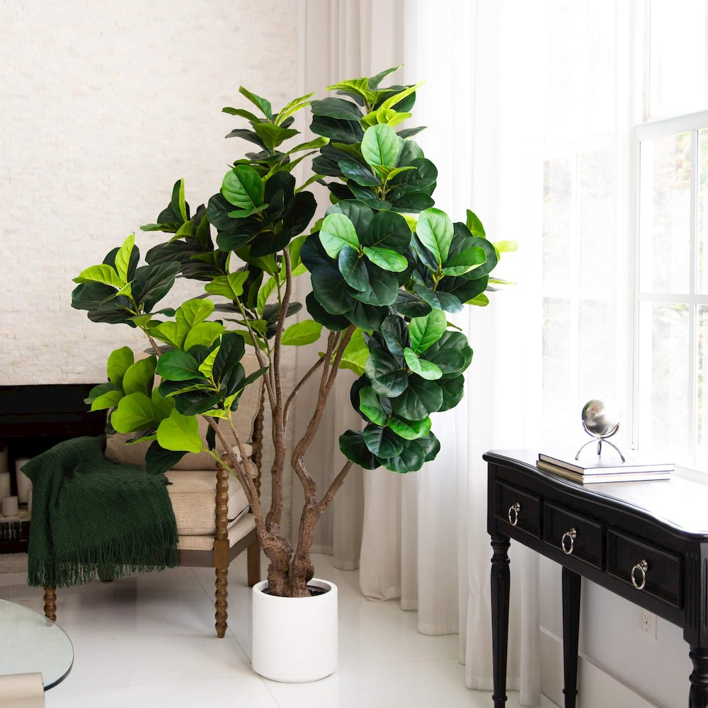 6ft. Artificial Grand Fiddle Leaf Tree in White Decorative Planter. Picture 7