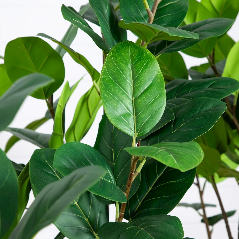 6ft. Artificial Audrey Ficus Leaf Tree in White Decorative Planter. Picture 2