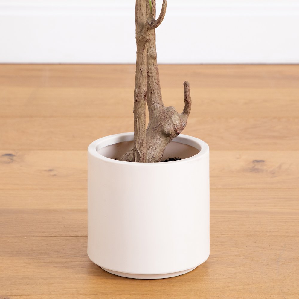 7ft. Artificial Minimalist Olive Tree in White Decorative Planter. Picture 7