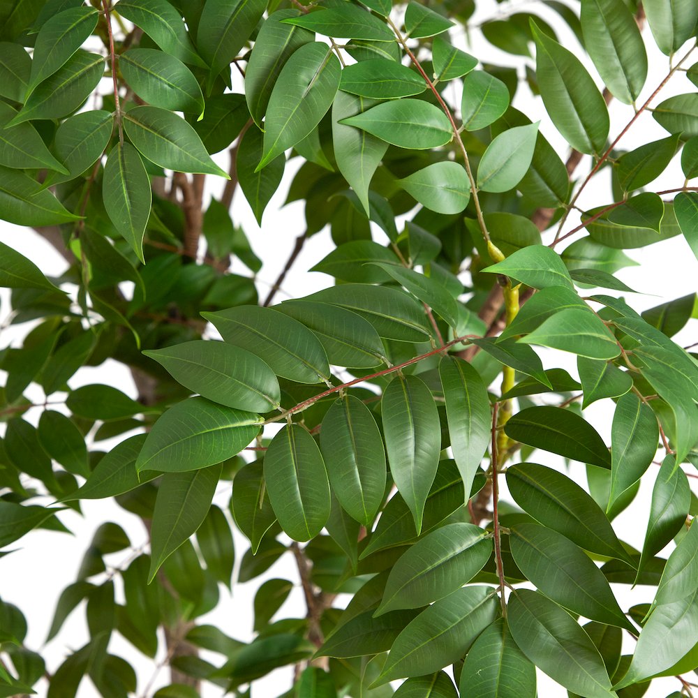 8ft. Artificial Sumac Tree. Picture 3