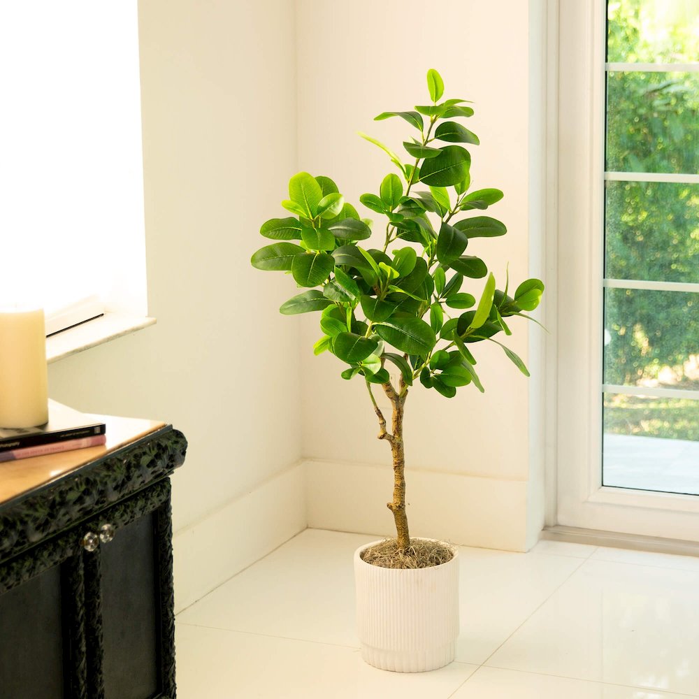 4ft. Artificial Audrey Ficus Tree. Picture 7