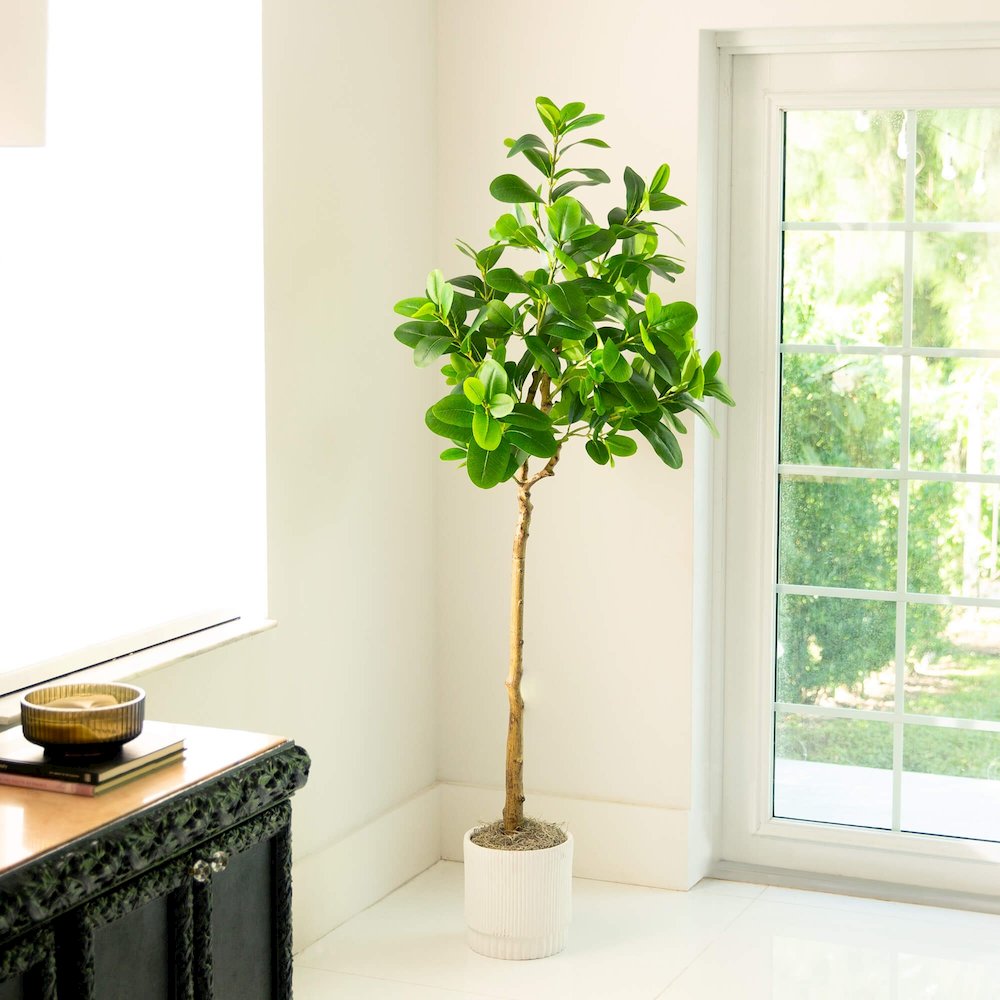 6ft. Artificial Audrey Ficus Tree. Picture 5