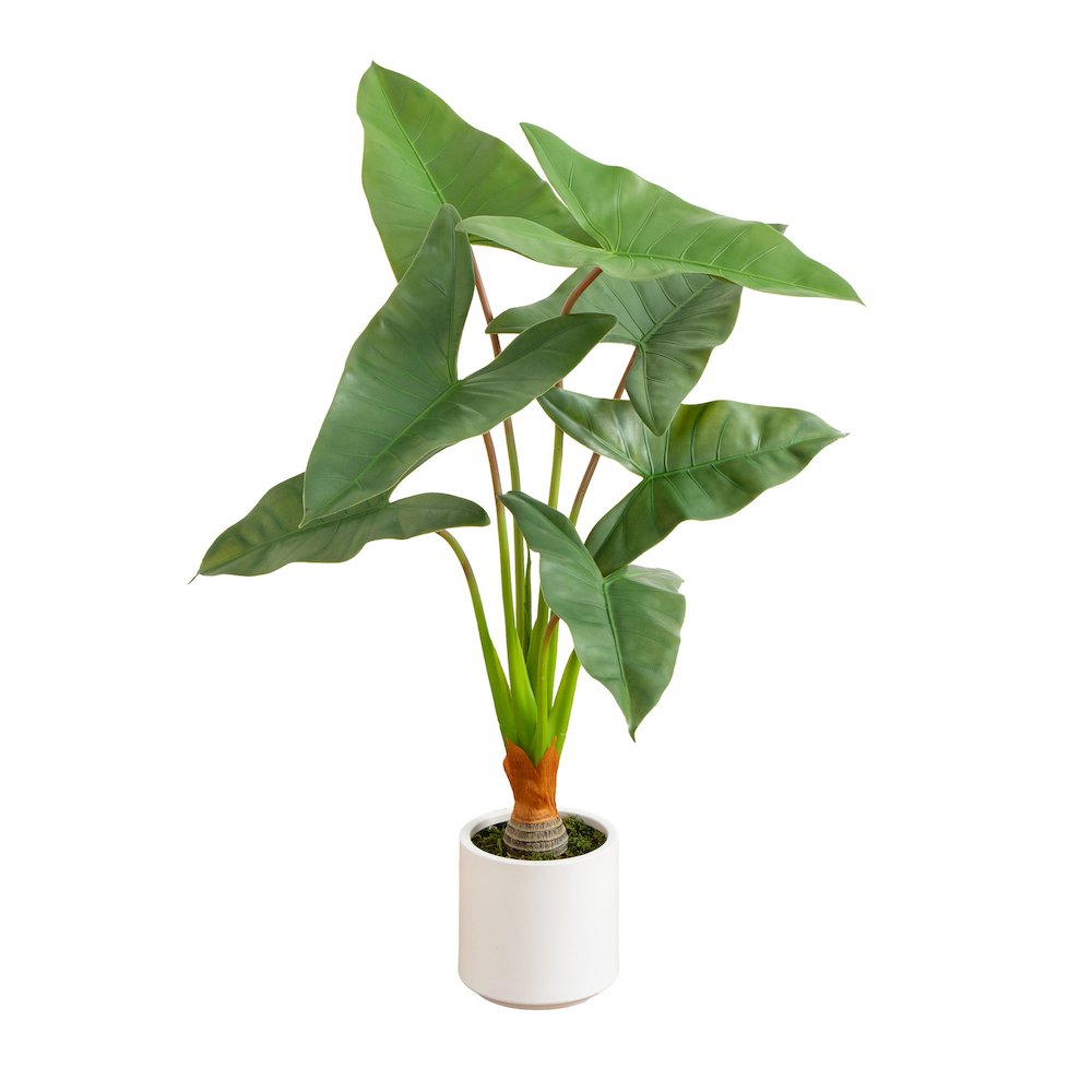 3.5ft. Artificial Arrowhead Philodendron in White Decorative Planter. Picture 1