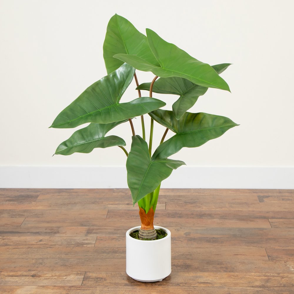 3.5ft. Artificial Arrowhead Philodendron in White Decorative Planter. Picture 7