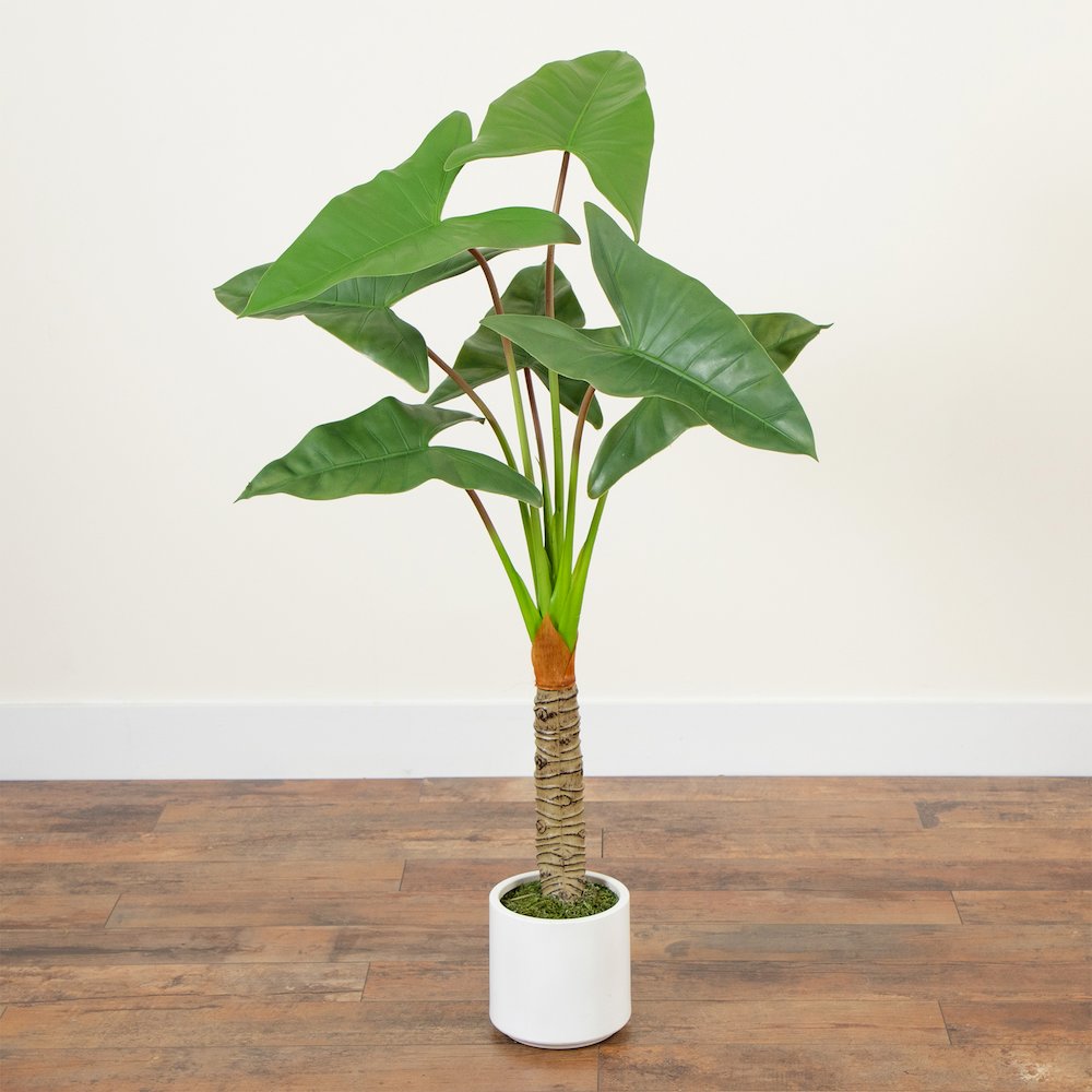4.5ft. Artificial Arrowhead Philodendron in White Decorative Planter. Picture 7