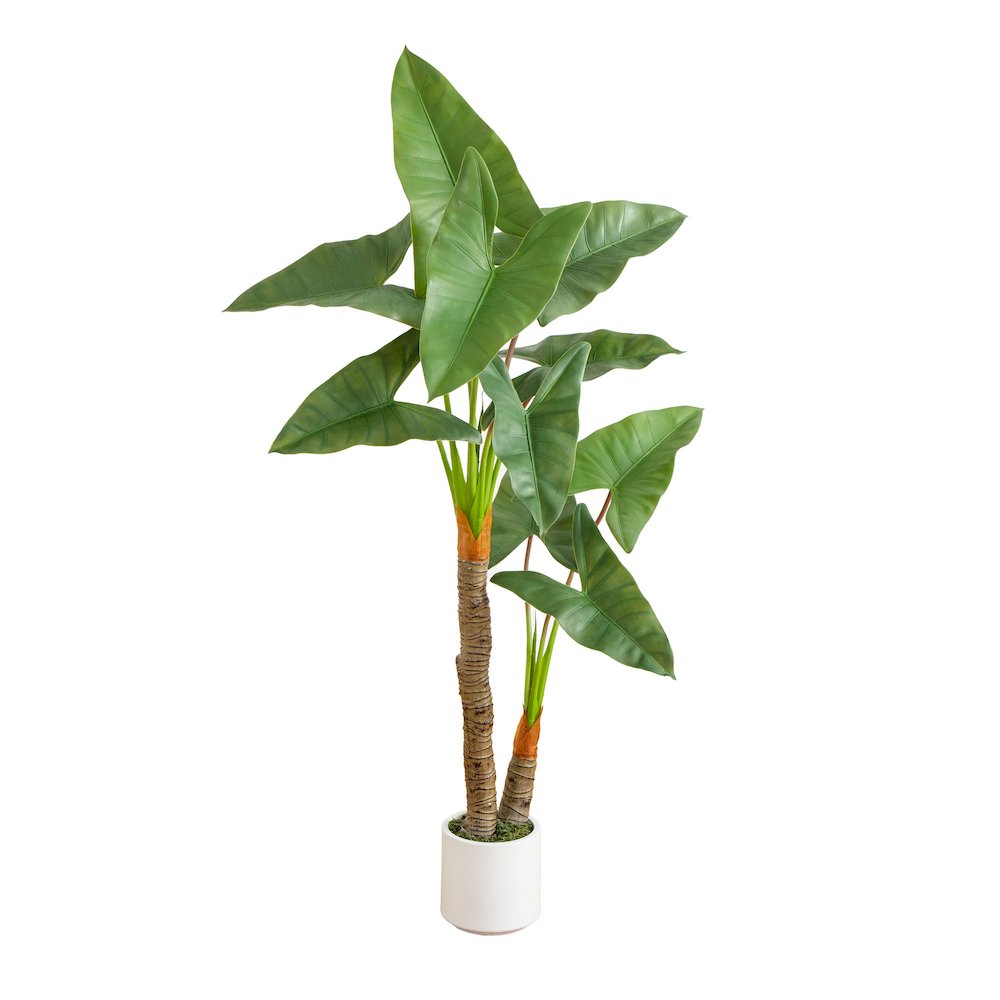 5.5ft. Artificial Arrowhead Philodendron in White Decorative Planter. Picture 1