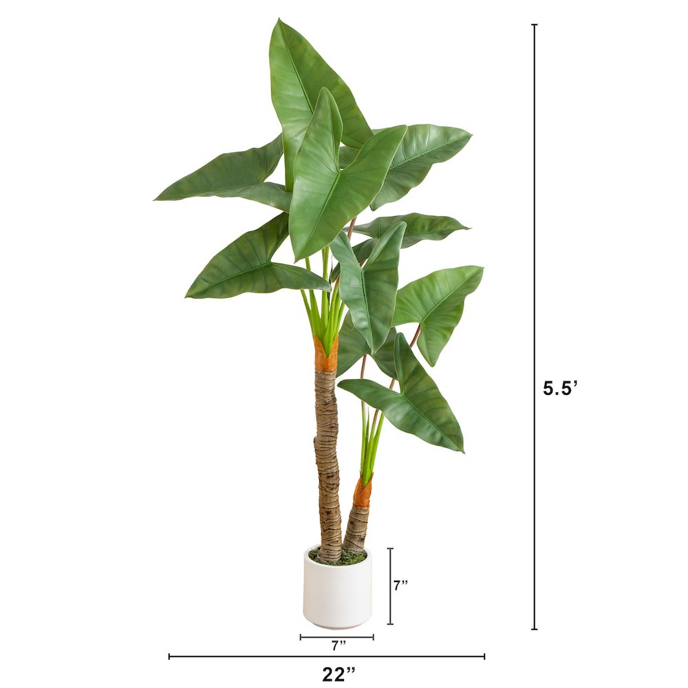 5.5ft. Artificial Arrowhead Philodendron in White Decorative Planter. Picture 2