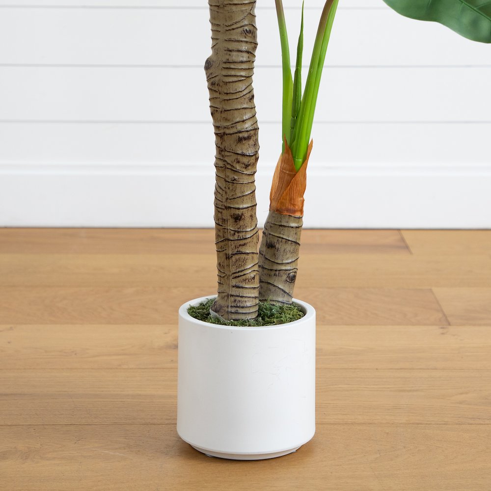 5.5ft. Artificial Arrowhead Philodendron in White Decorative Planter. Picture 5