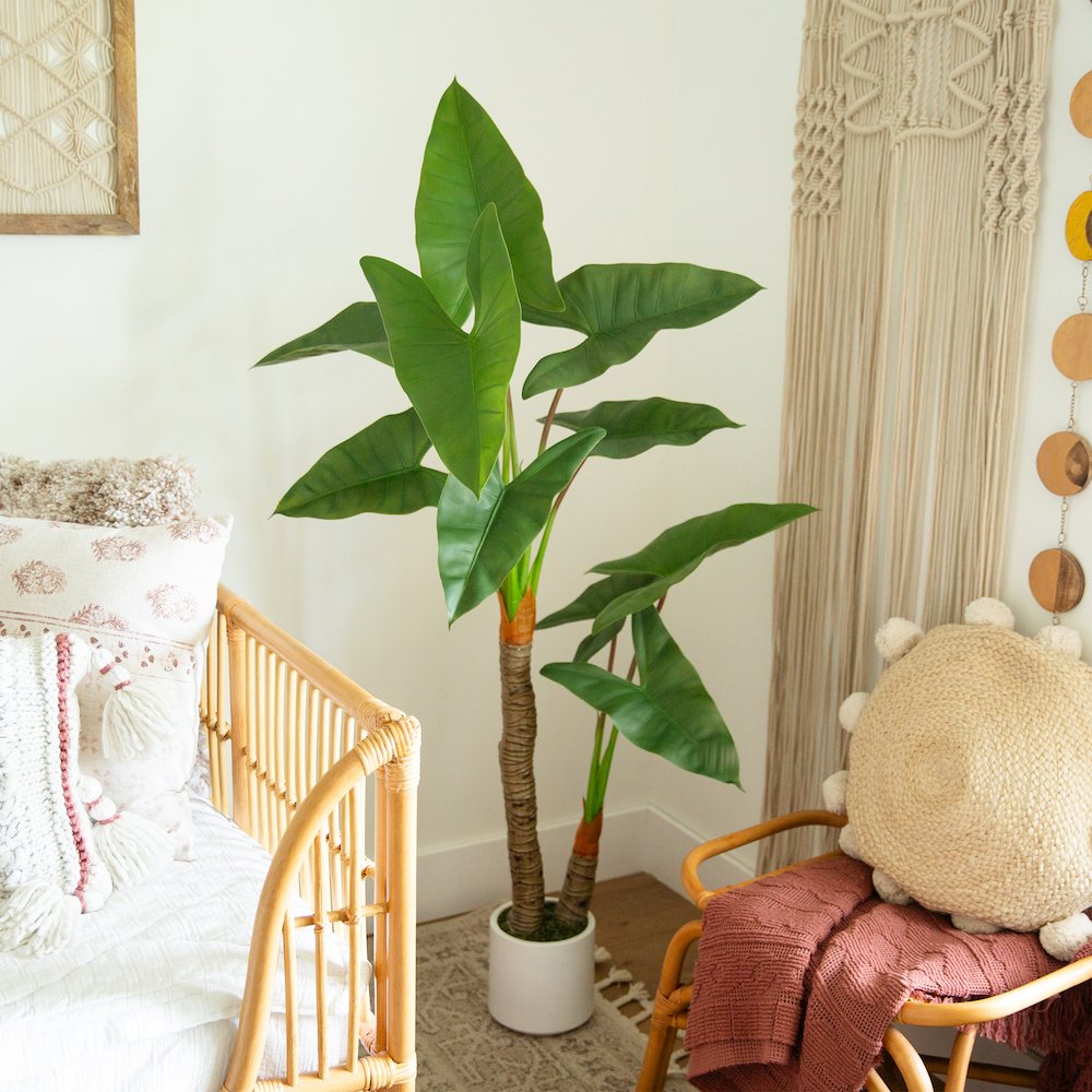 5.5ft. Artificial Arrowhead Philodendron in White Decorative Planter. Picture 6