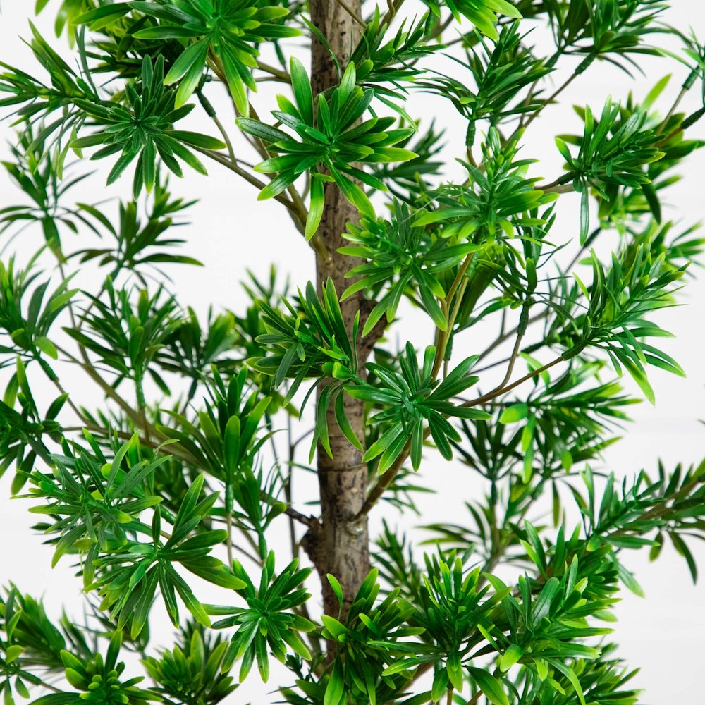 4ft. UV Artificial Podocarpus Artificial Tree (Indoor/Outdoor). Picture 2
