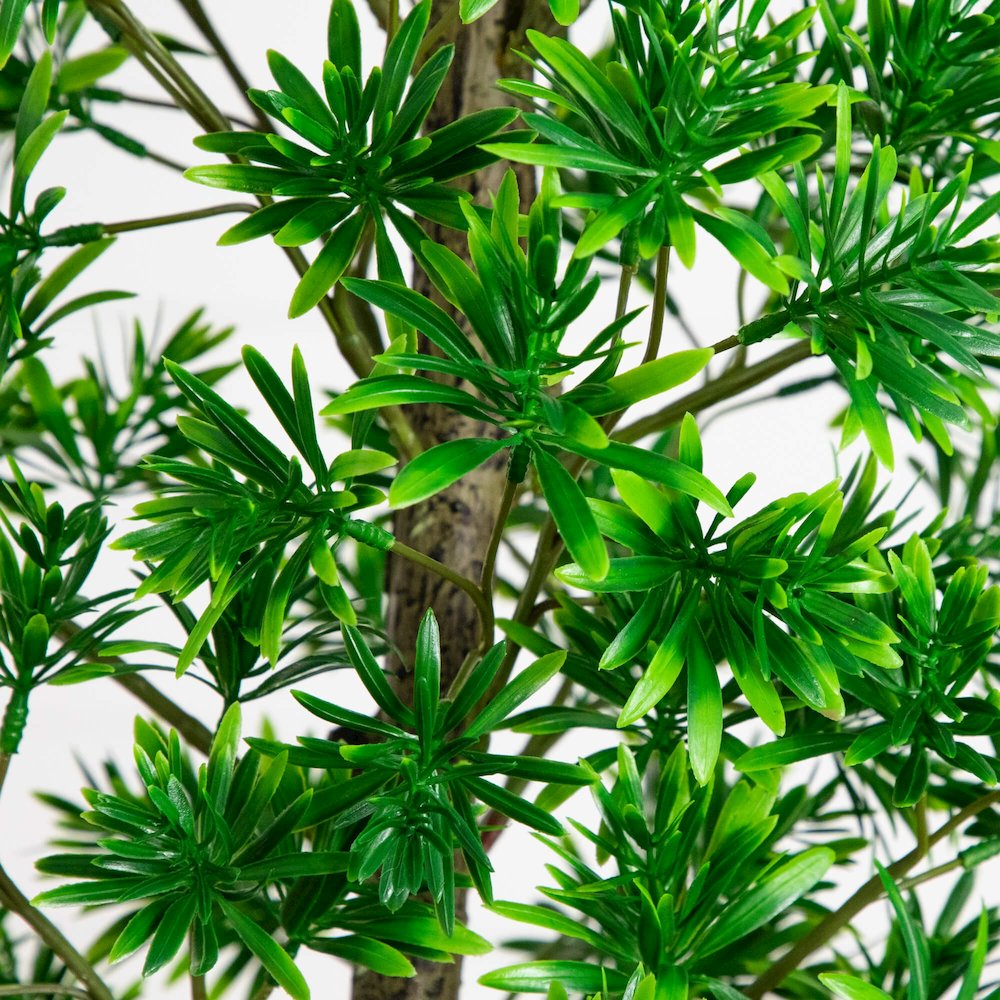 6ft. UV Artificial Podocarpus Artificial Tree (Indoor/Outdoor). Picture 5