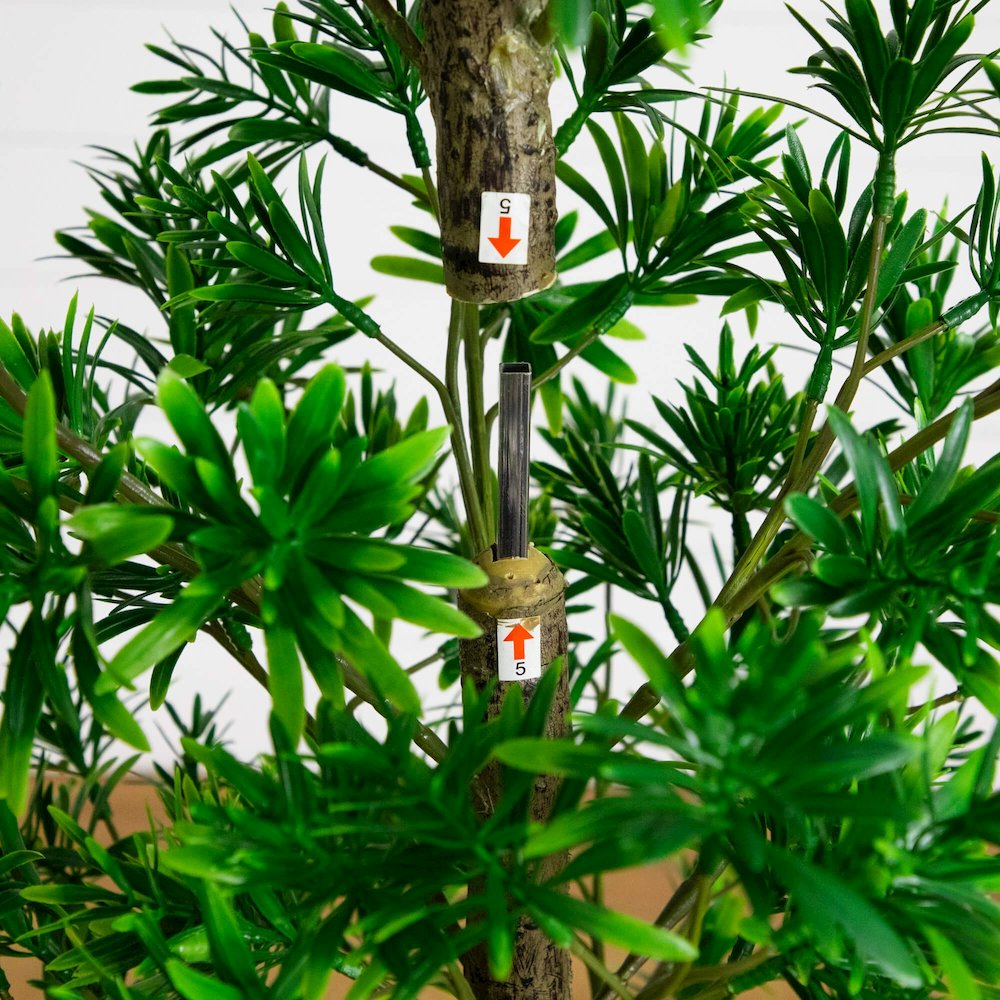 6ft. UV Artificial Podocarpus Artificial Tree (Indoor/Outdoor). Picture 3
