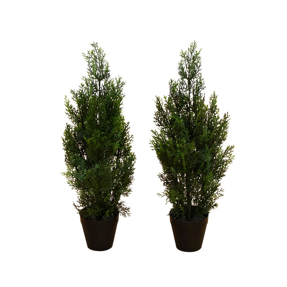 2ft. Artificial Cedar Pine Tree UV Resistant (Indoor/Outdoor) - Set of 2. Picture 1