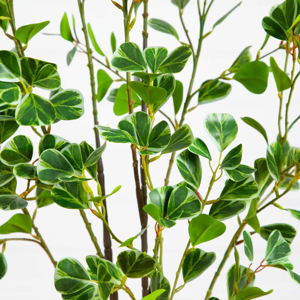 4ft. Artificial Heart Shaped Ficus Leaf Tree. Picture 6