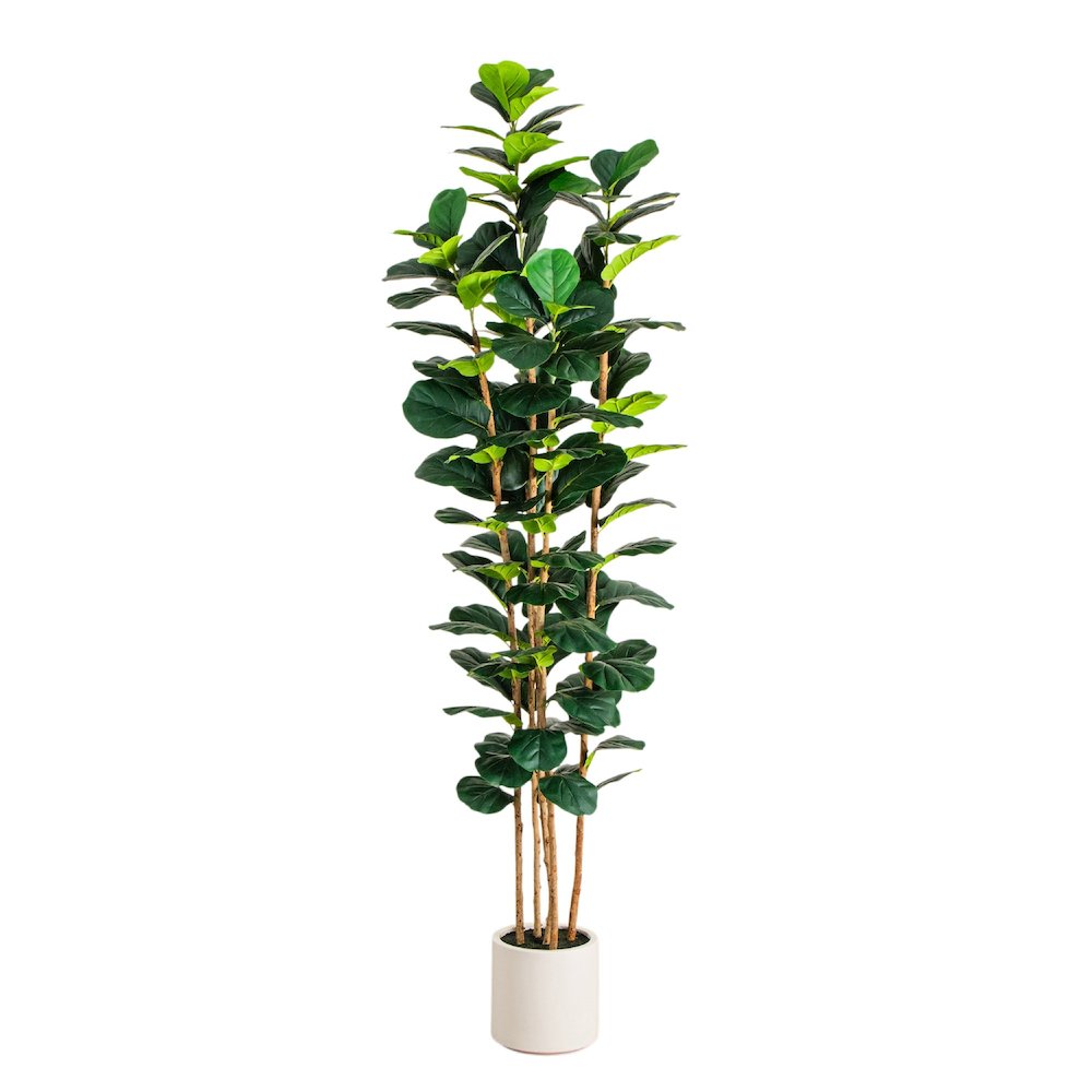 8ft. Artificial Fiddle Leaf Tree in Decorative White Planter. Picture 1