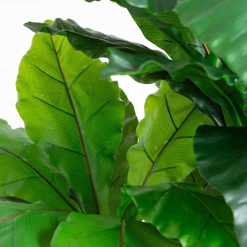 4ft. UV Resistant Artificial Bird Nest Fern Tree (Indoor/Outdoor). Picture 3