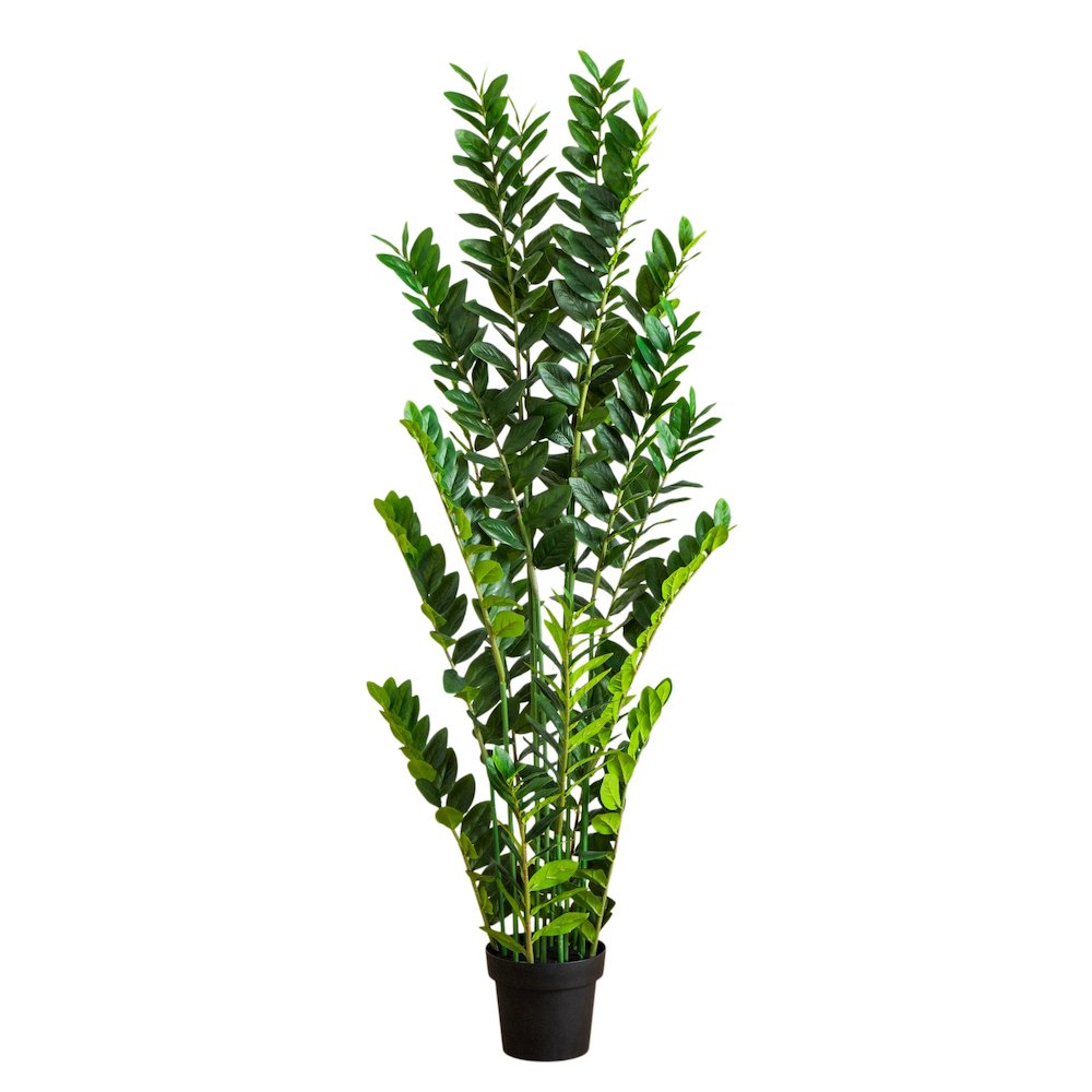 5ft. Artificial Zamioculcas Plant. Picture 2