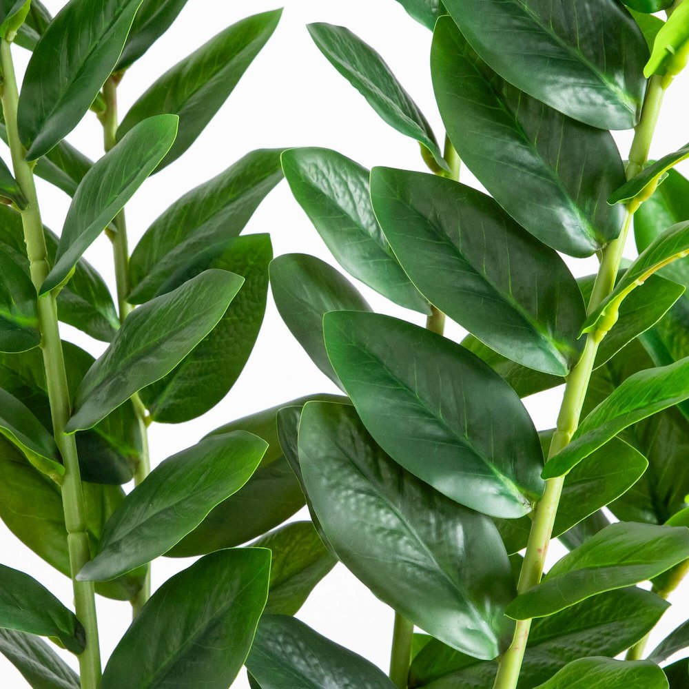 5ft. Artificial Zamioculcas Plant. Picture 3