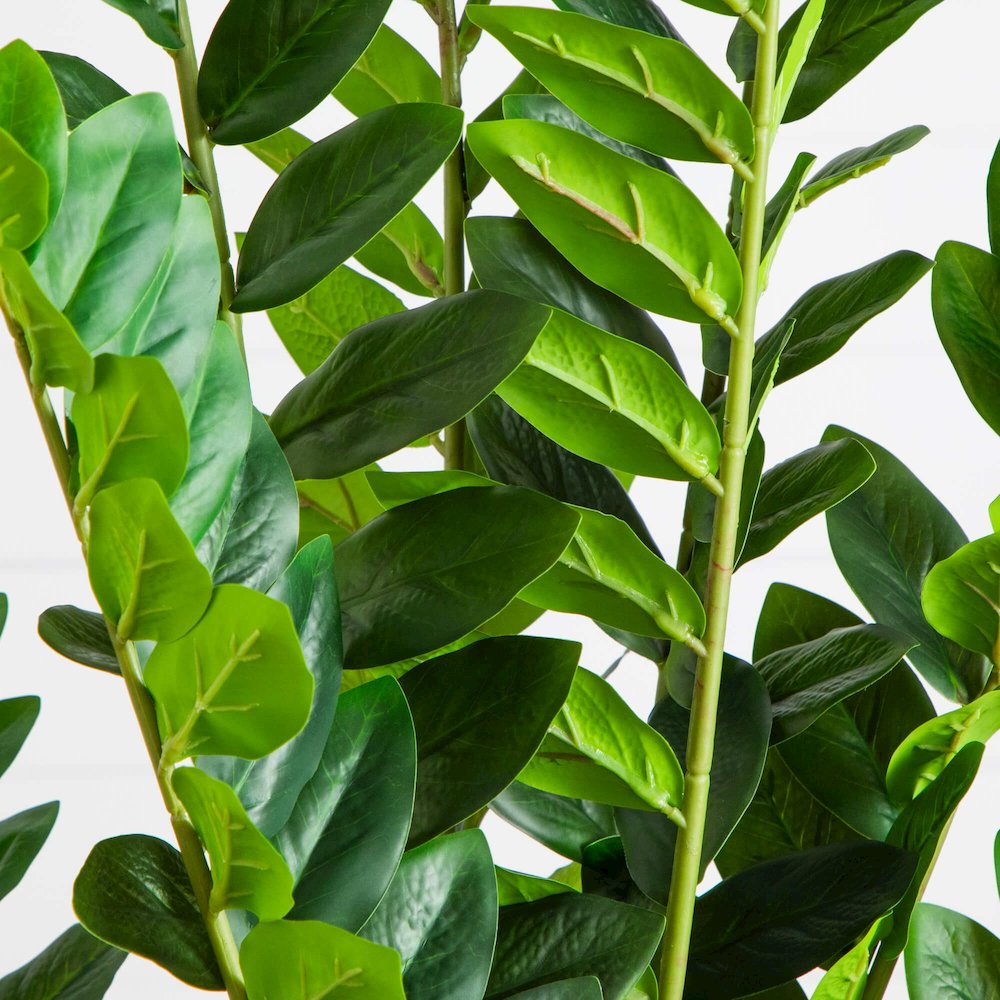 5ft. Artificial Zamioculcas Plant. Picture 4