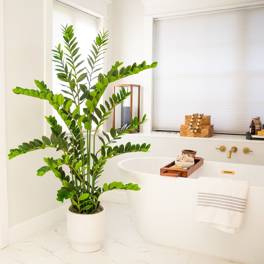 5ft. Artificial Zamioculcas Plant. Picture 5