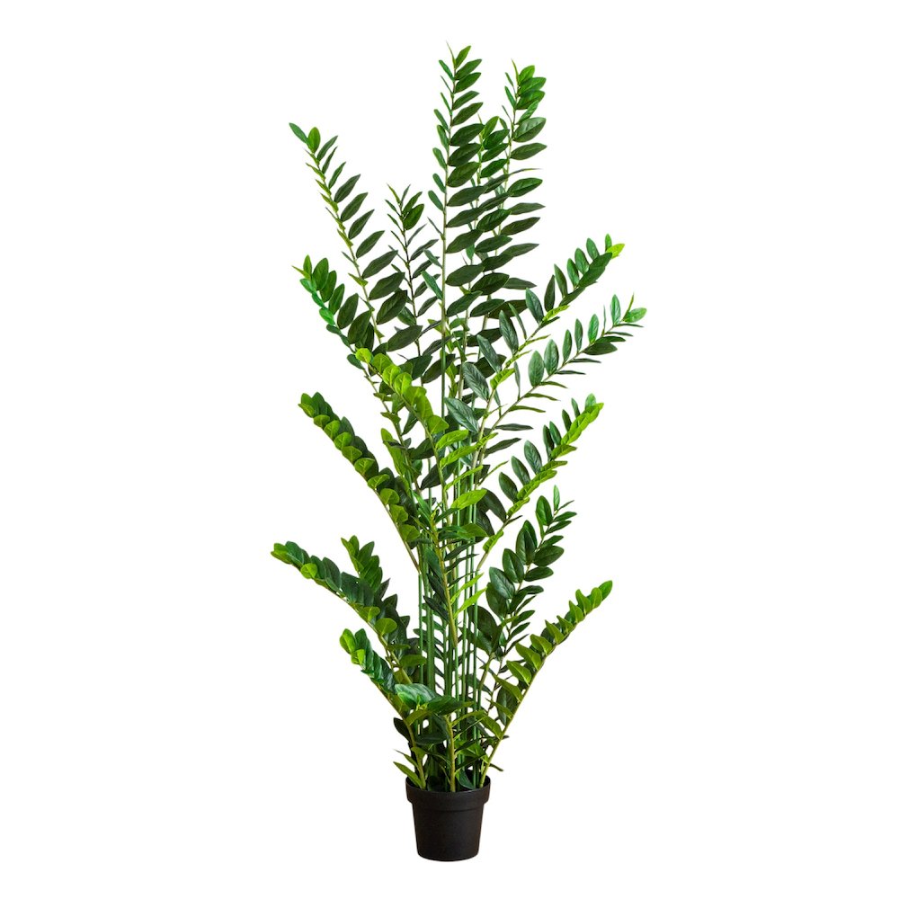 6ft. Artificial Zamioculcas Plant. Picture 1