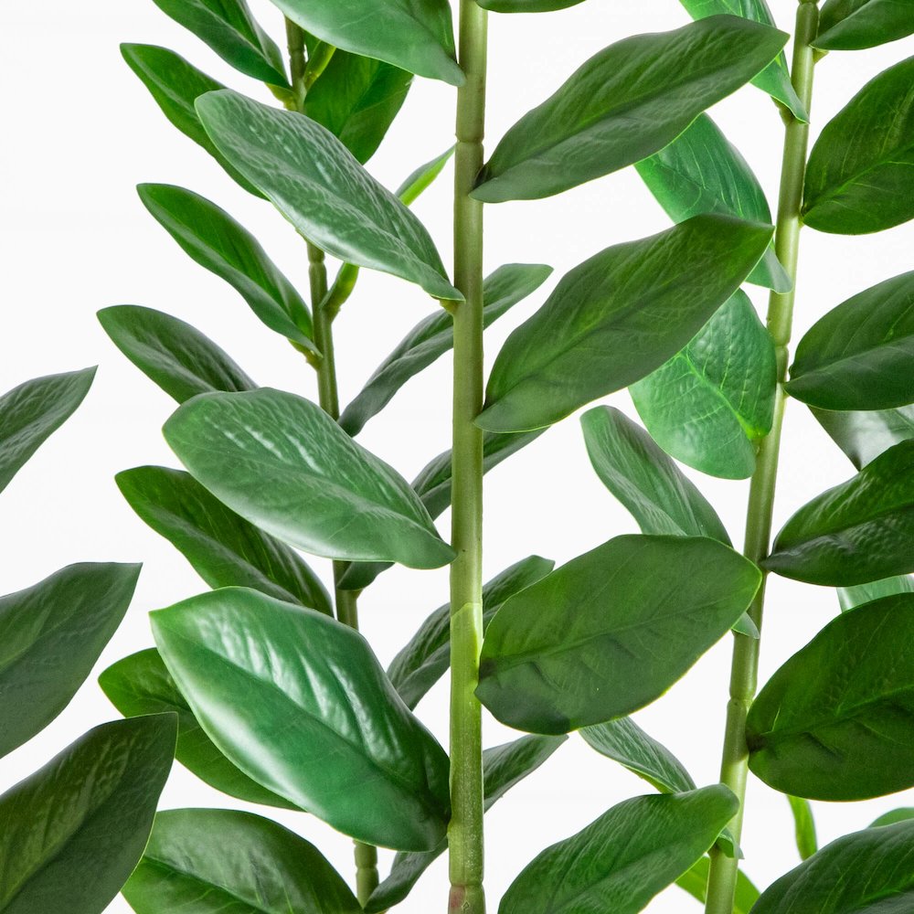 6ft. Artificial Zamioculcas Plant. Picture 6