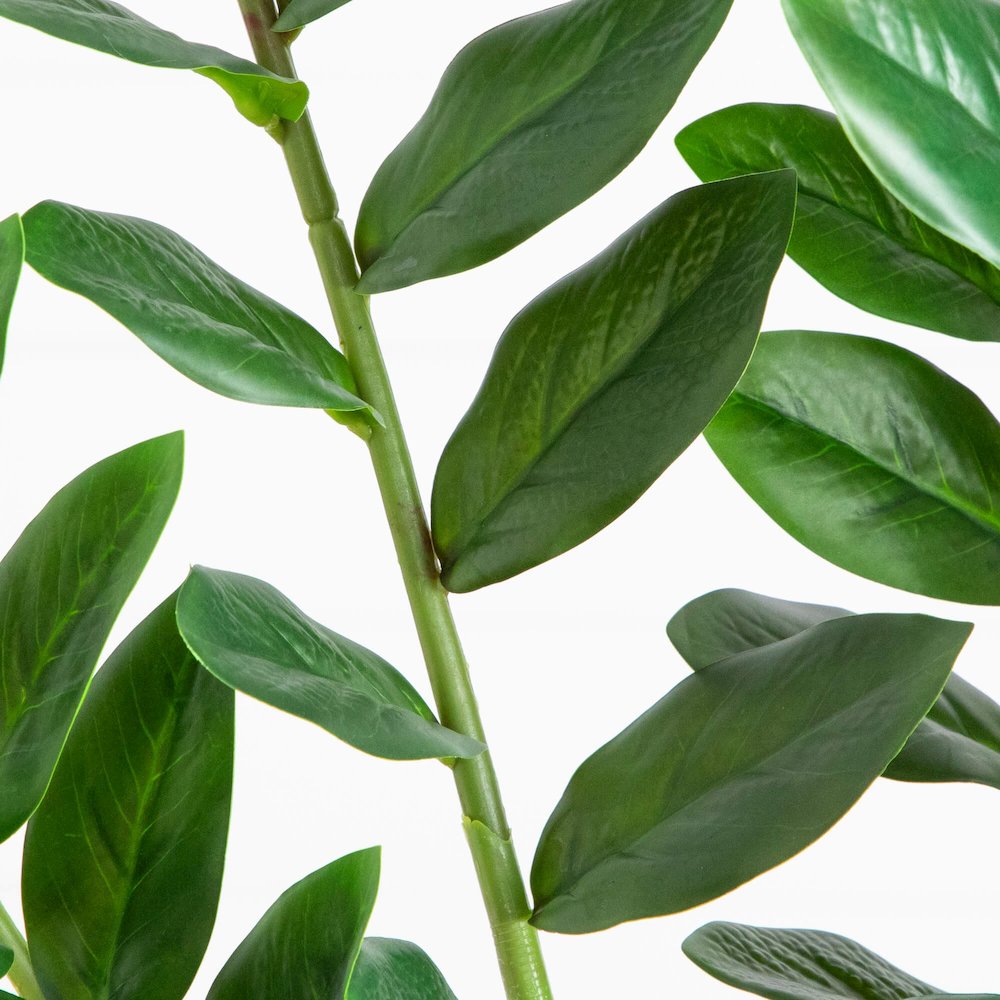 6ft. Artificial Zamioculcas Plant. Picture 5