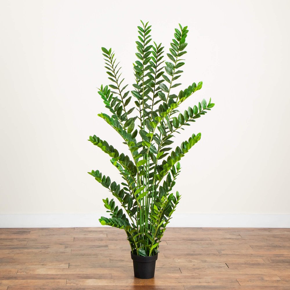 6ft. Artificial Zamioculcas Plant. Picture 2