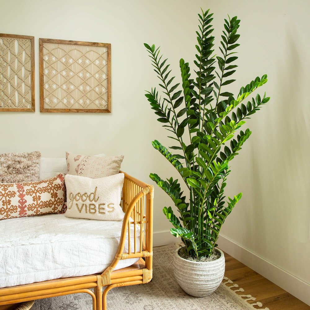 6ft. Artificial Zamioculcas Plant. Picture 7