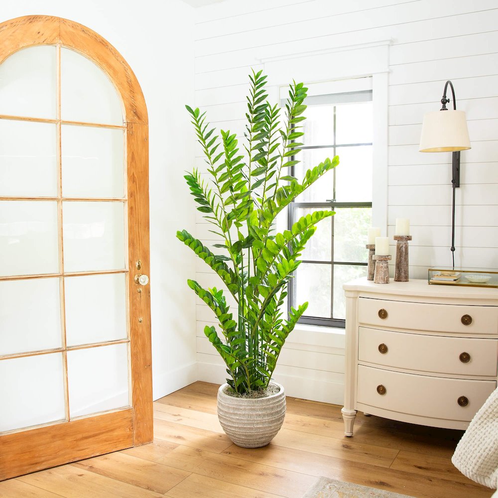6ft. Artificial Zamioculcas Plant. Picture 4