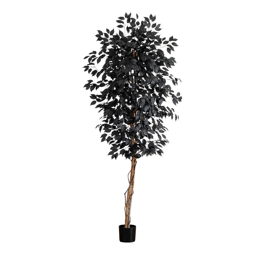 6ft. Artificial Halloween Black Ficus Tree with Natural Trunk. Picture 1