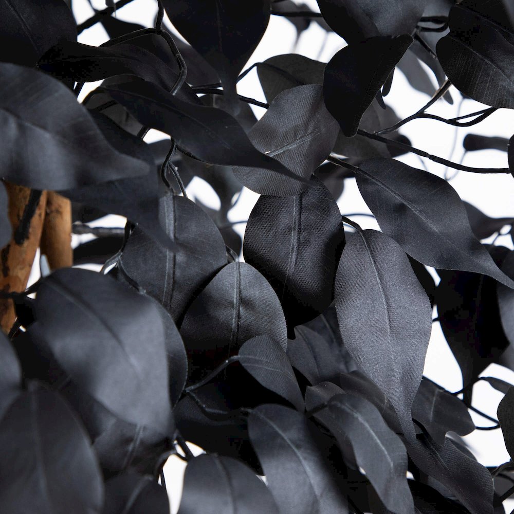 7ft. Artificial Halloween Black Ficus Tree with Natural Trunk. Picture 3