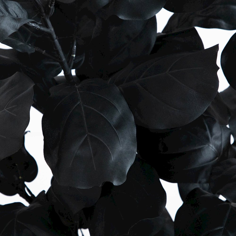 5ft. Artificial Halloween Black Fiddle Leaf Tree. Picture 6