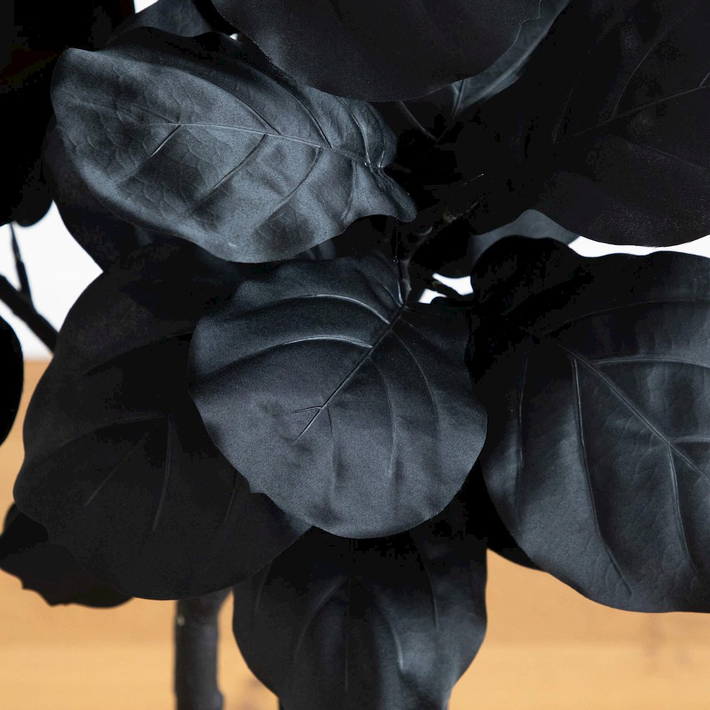 6ft. Artificial Halloween Black Fiddle Leaf Tree. Picture 5