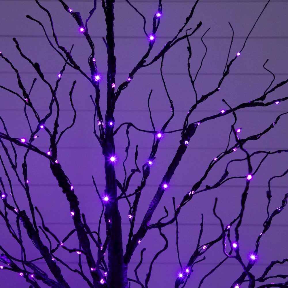 5ft. Pre-Lit Halloween Black Twig Artificial Tree with 240 LED Lights. Picture 6