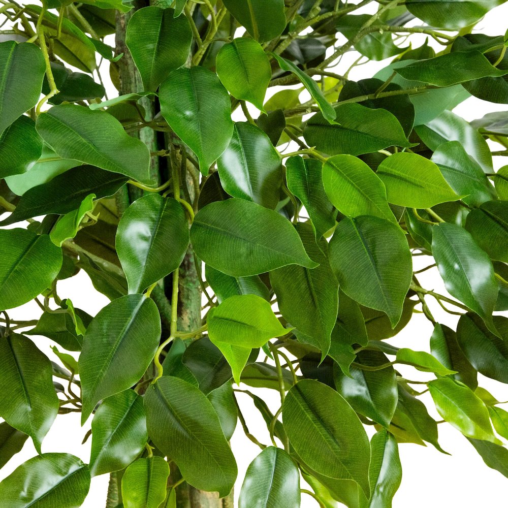 3.5ft. UV Resistant Artificial Ficus Tree (Indoor/Outdoor). Picture 3