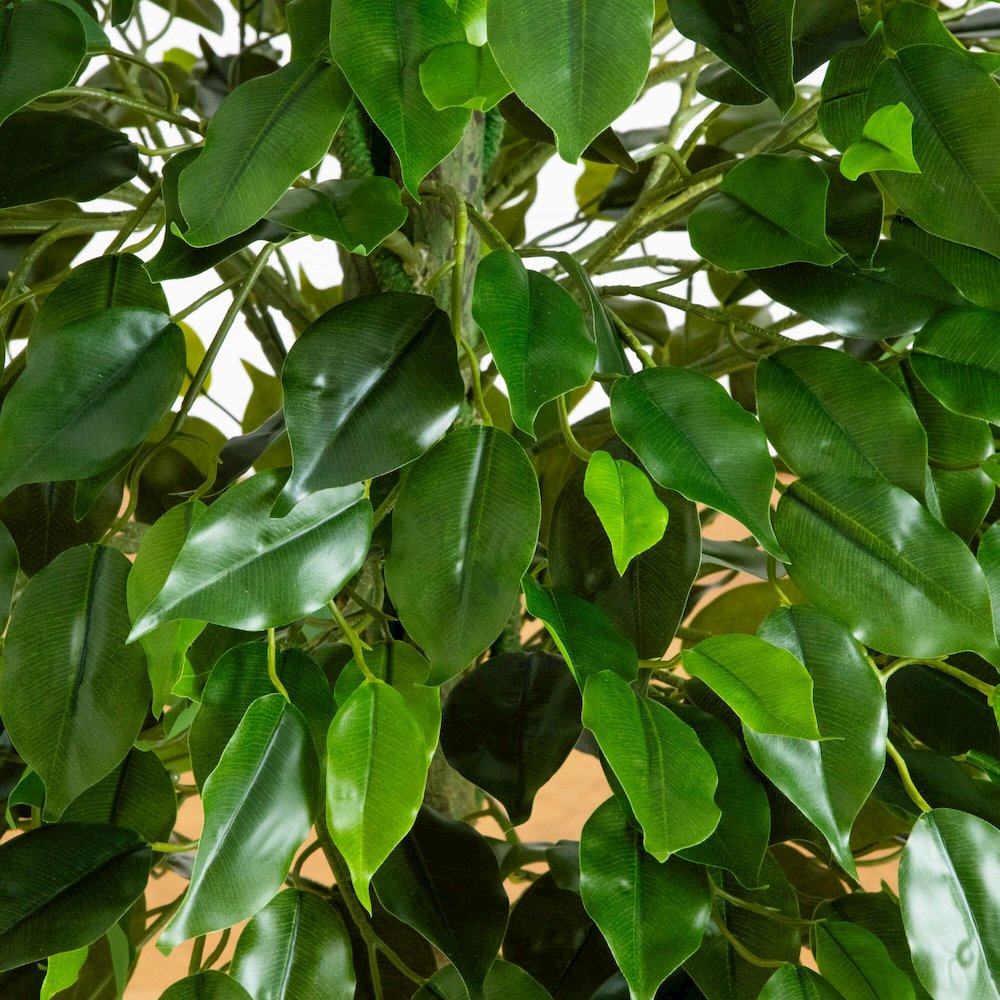 4.5ft. UV Resistant Artificial Ficus Tree (Indoor/Outdoor). Picture 2