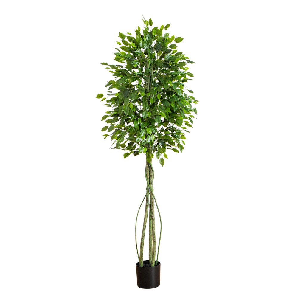 6.5ft. UV Resistant Artificial Ficus Tree (Indoor/Outdoor). Picture 8