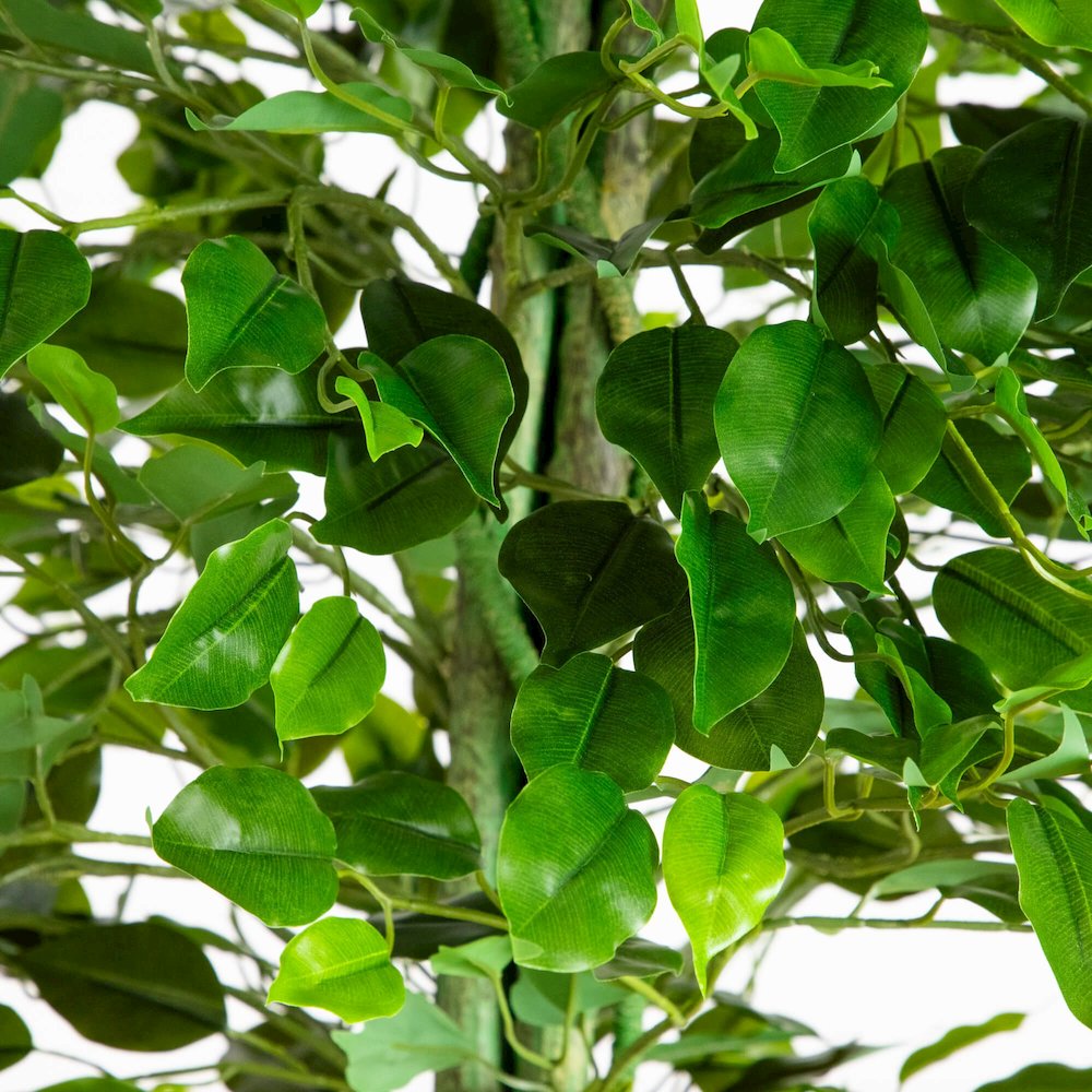 6.5ft. UV Resistant Artificial Ficus Tree (Indoor/Outdoor). Picture 7