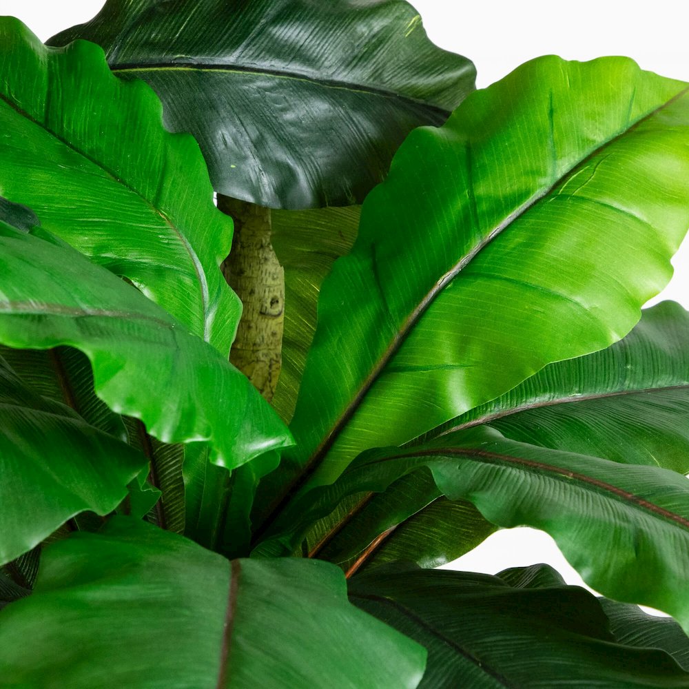 6ft. UV Resistant Artificial Bird Nest Fern Tree (Indoor/Outdoor). Picture 4