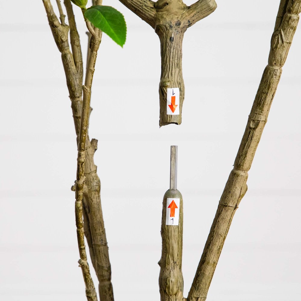 6ft. Artificial Minimalist Japanese Pieris Tree. Picture 4