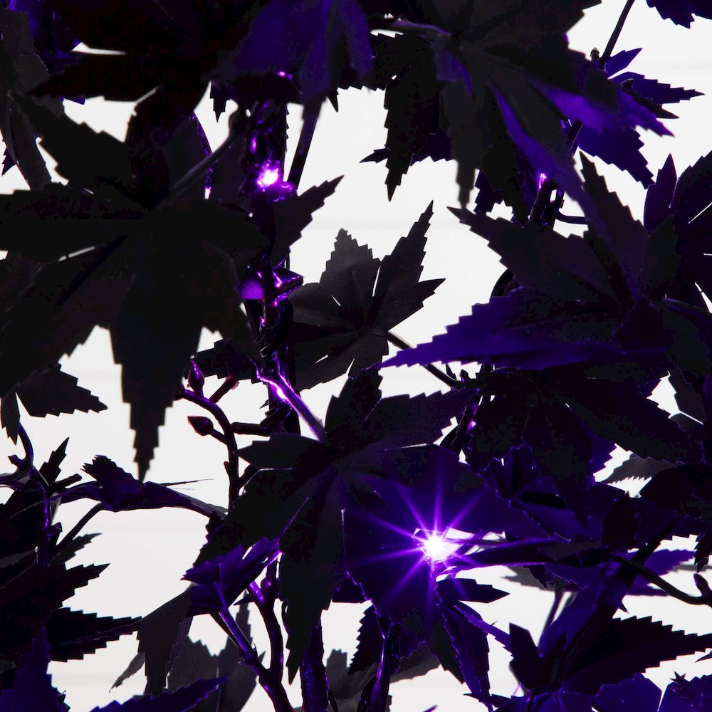 4ft. Pre-Lit Artificial Halloween Black Maple Tree with 180 LED Lights. Picture 9