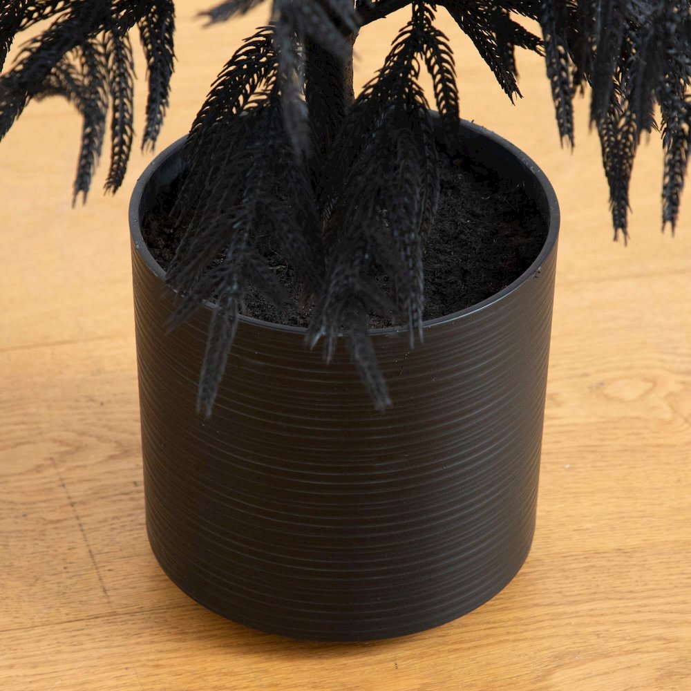 4ft. Artificial Halloween Real Touch Black Norfolk Pine Christmas Tree. Picture 2