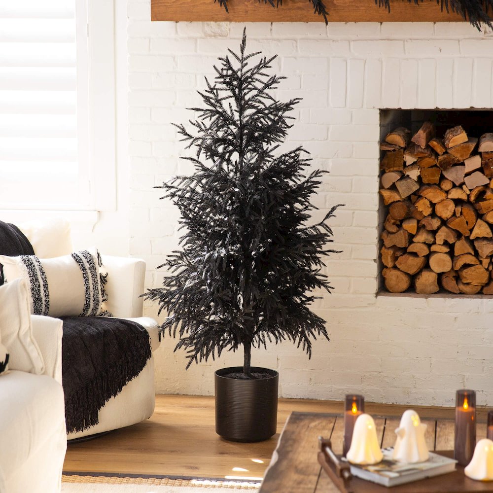 5ft. Artificial Halloween Real Touch Black Norfolk Pine Christmas Tree. Picture 4