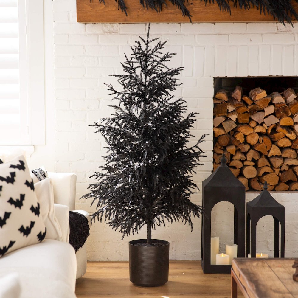 5ft. Artificial Halloween Real Touch Black Norfolk Pine Christmas Tree. Picture 5